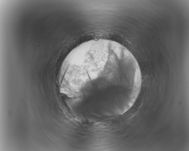 X0000066510913200604141744