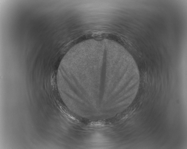 X0000066510914200604141744