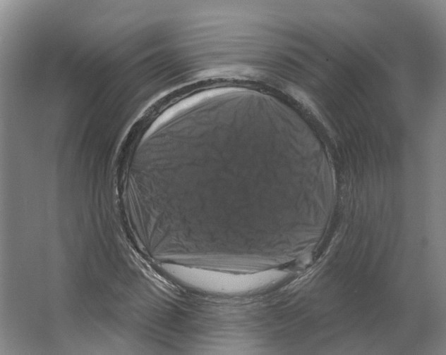 X0000066510923200604141744