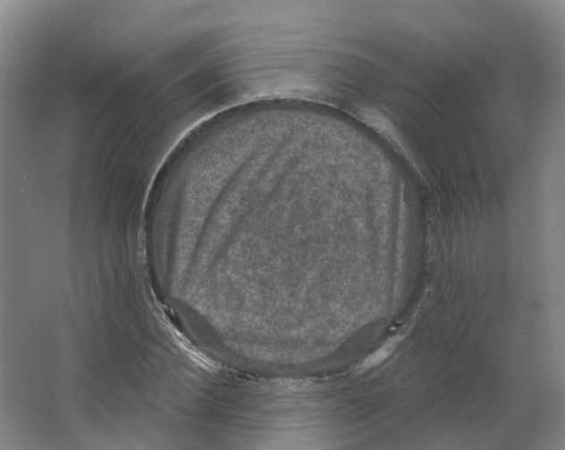 X0000066510924200604141744