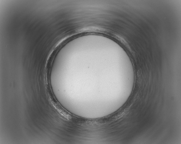 X0000066510931200604141744