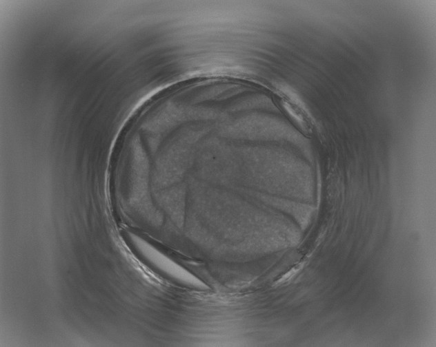 X0000066510932200604141744