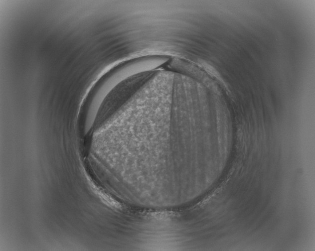 X0000066510934200604141744