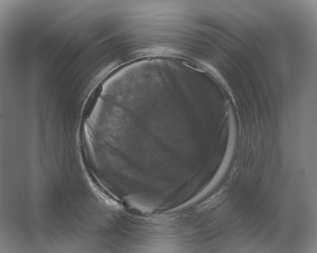 X0000066510946200604141744