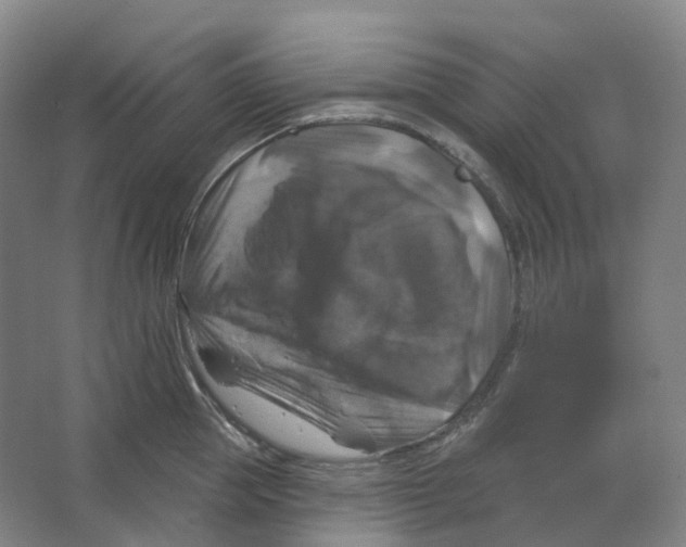 X0000066510953200604141745