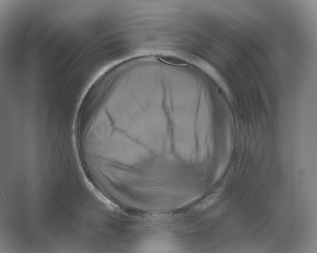 X0000066510958200604141745
