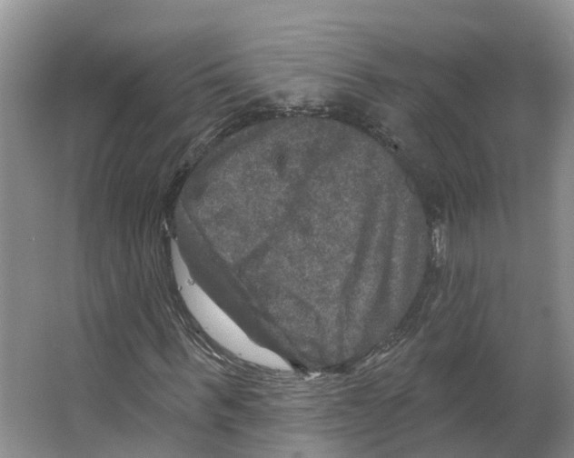 X0000066510963200604141744