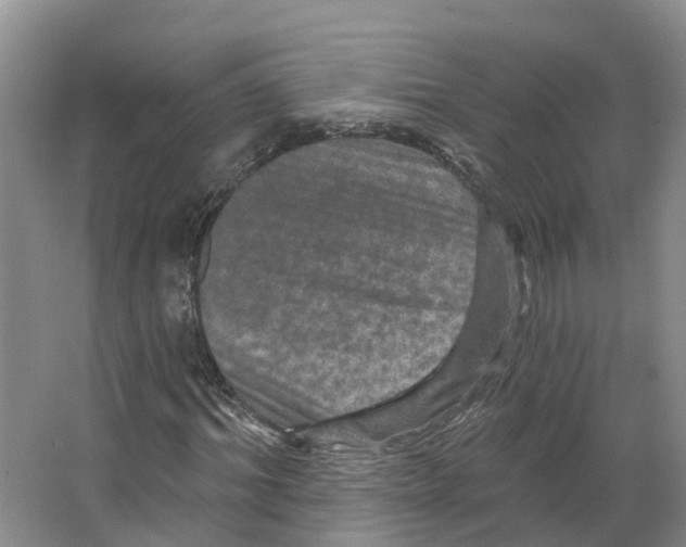 X0000066510964200604141744