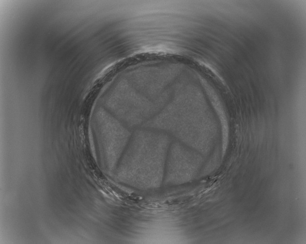 X0000066510968200604141744