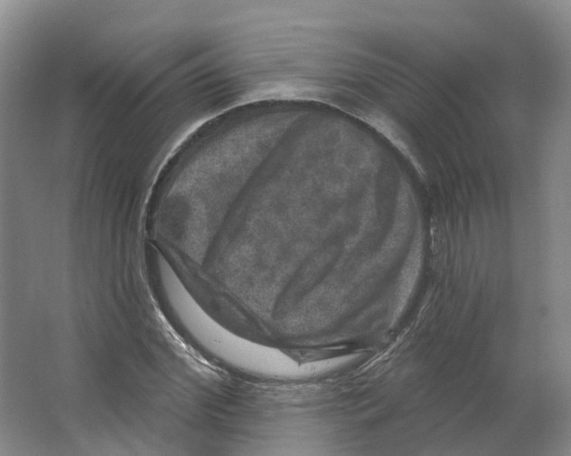 X0000066510972200604141744