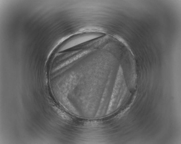 X0000066510973200604141744