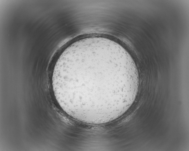 X0000066510974200604141744
