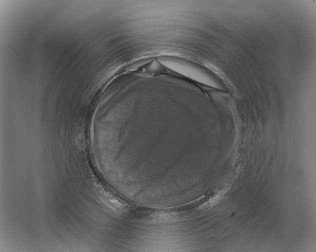 X0000066510977200604141744