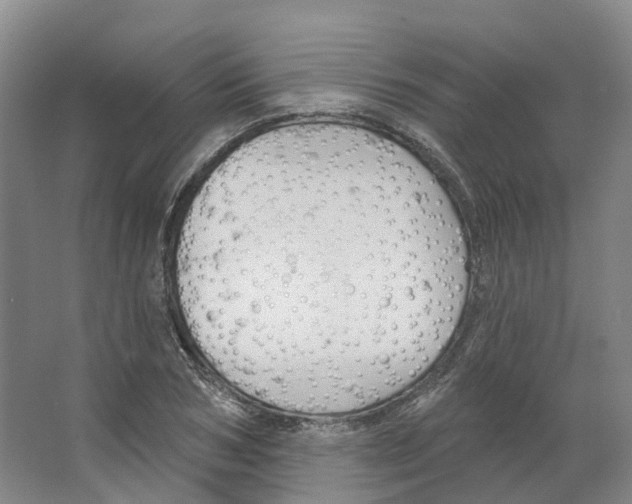 X0000066510978200604141744