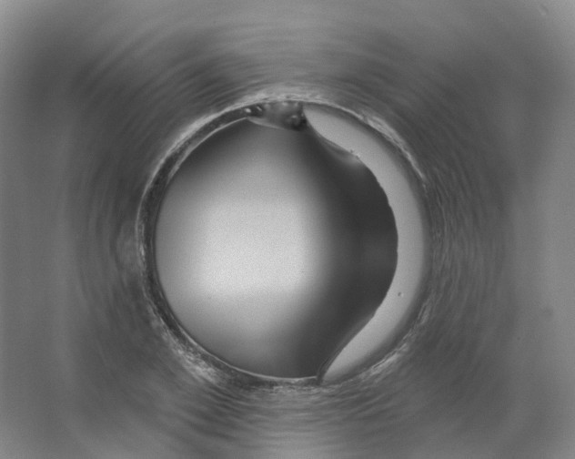 X0000066510981200604141744