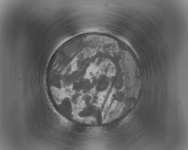 X0000066510991200604141743