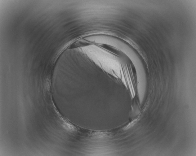 X0000066510993200604141743