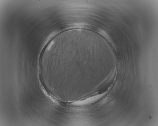 X0000066510994200604141743