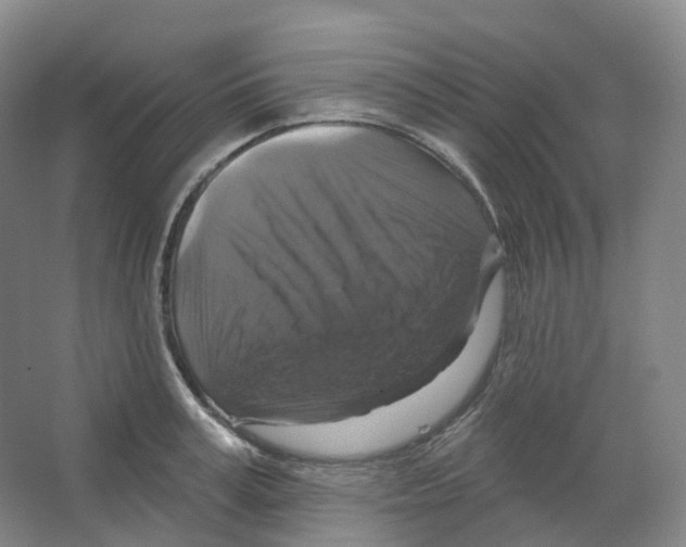 X0000066510995200604141743