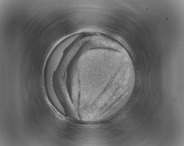 X0000066510996200604141743