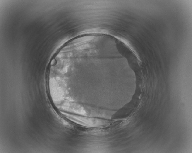 X0000066510998200604141743