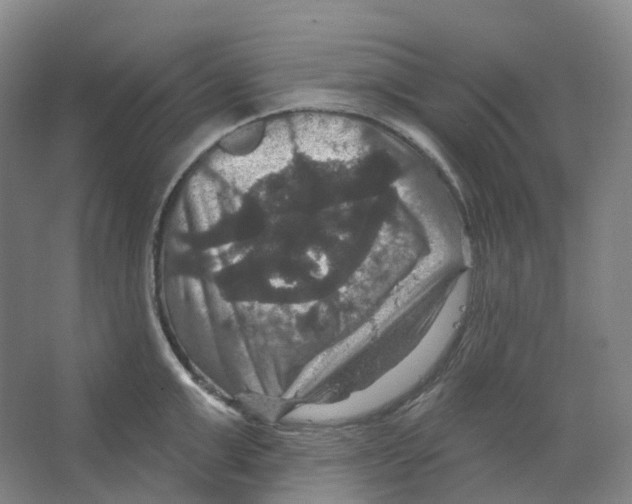 X0000066510999200604141743