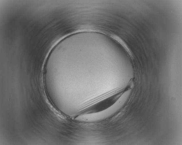 X0000066511004200604141743