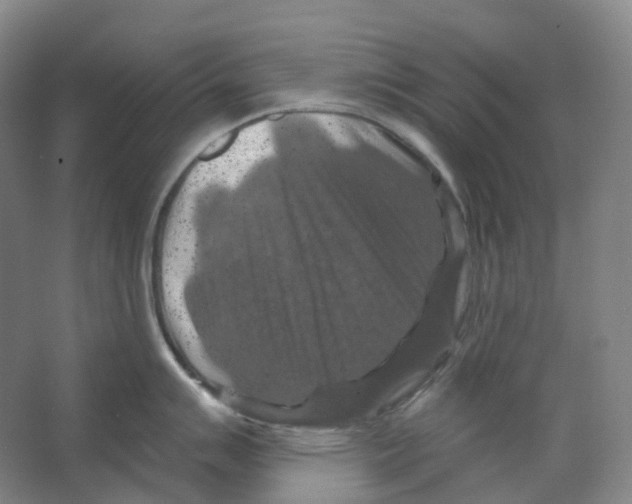 X0000066511007200604141743