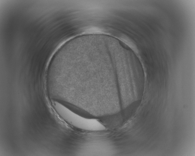 X0000066511008200604141743