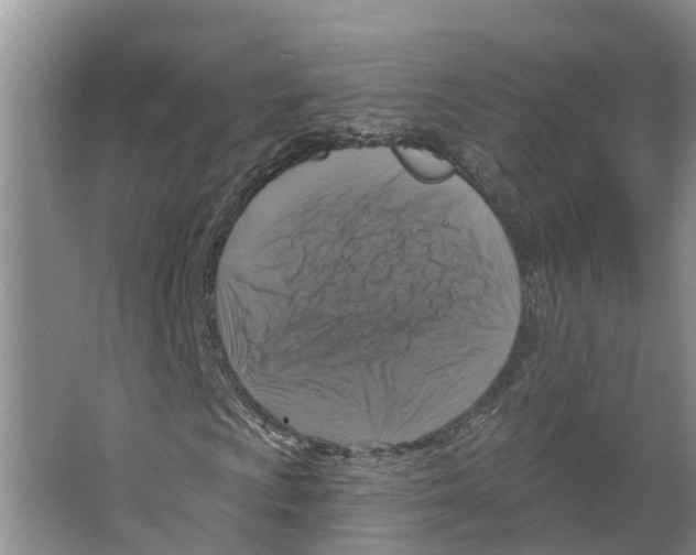 X0000066511009200604141742