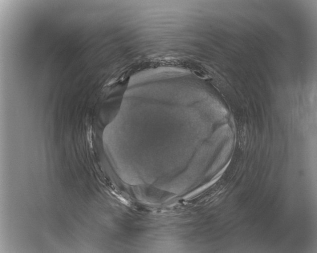 X0000066511010200604141742