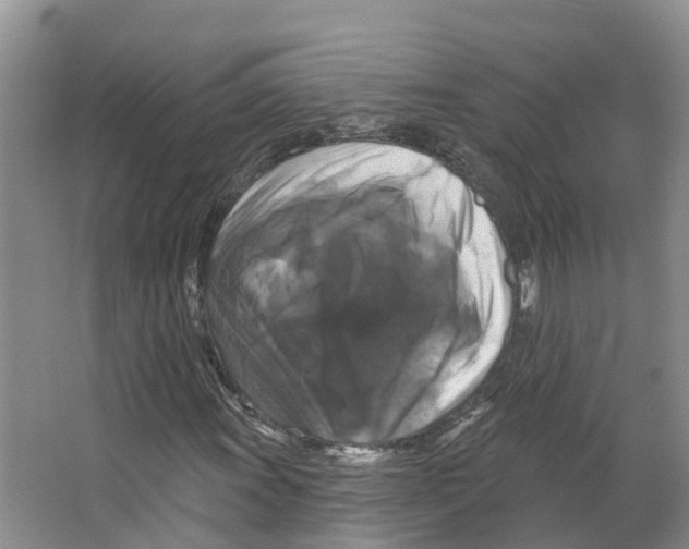 X0000066511011200604141742