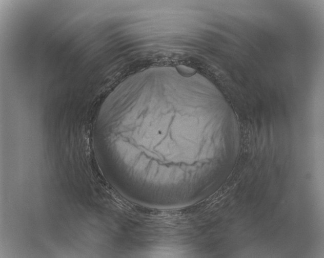 X0000066511013200604141742