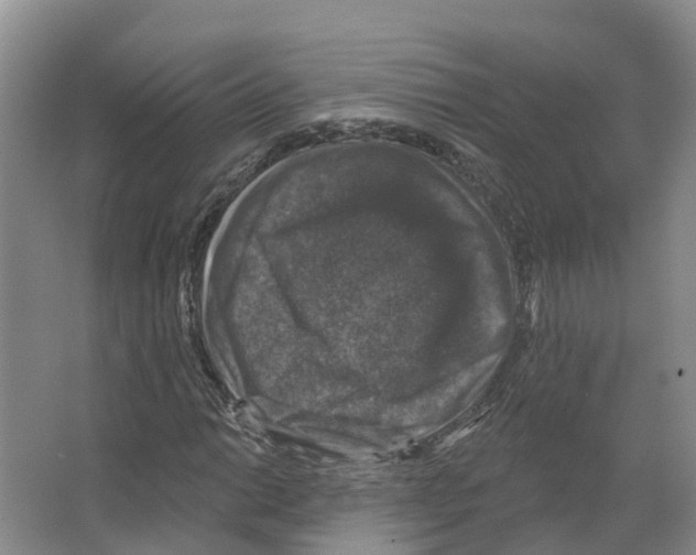X0000066511014200604141742