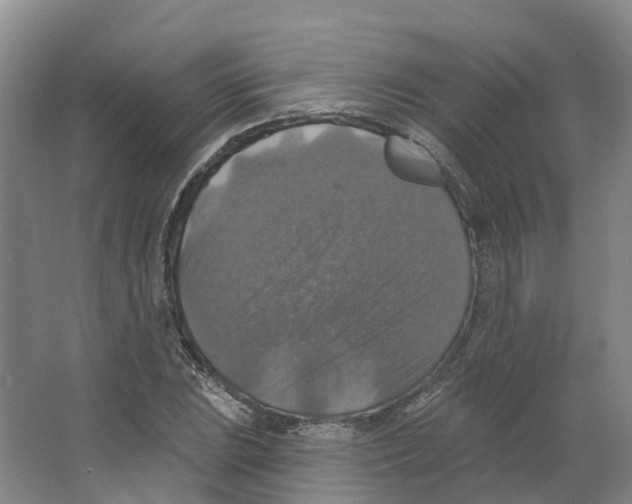 X0000066511023200604141743