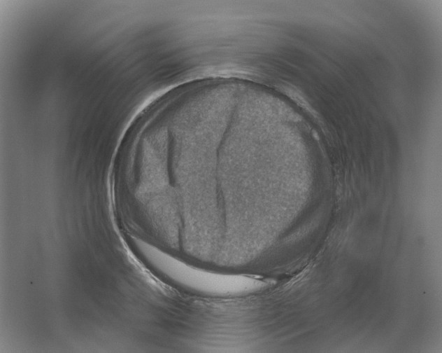 X0000066511032200604141743