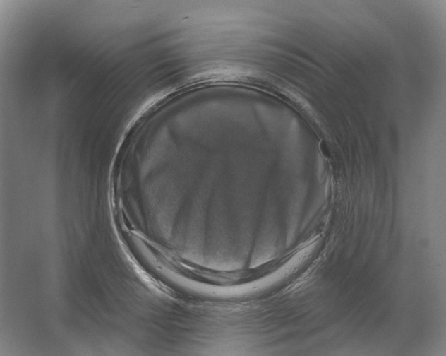 X0000066511034200604141743
