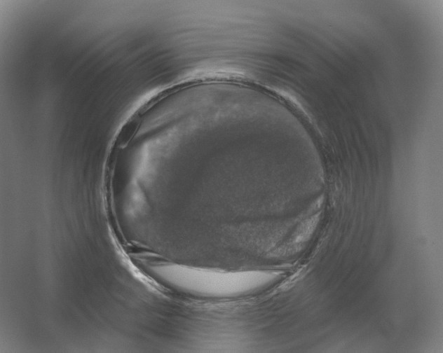 X0000066511038200604141743