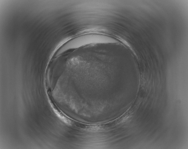 X0000066511042200604141743