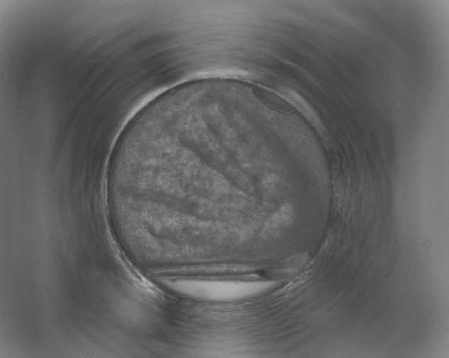 X0000066511044200604141743