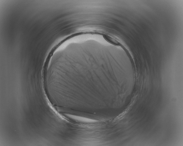 X0000066511045200604141743