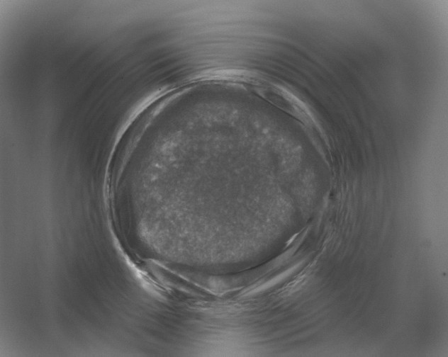 X0000066511050200604141743