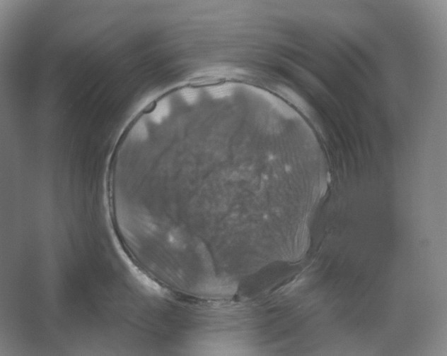 X0000066511055200604141743