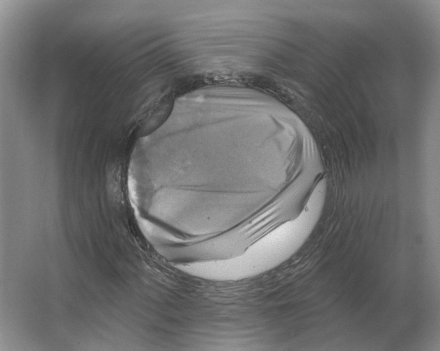 X0000066511060200604141742