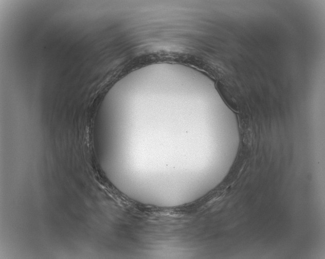 X0000066511061200604141742