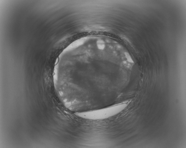 X0000066511063200604141742