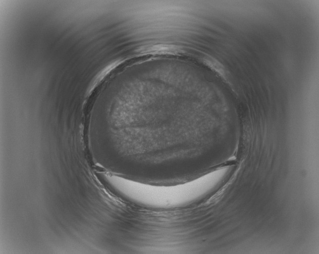 X0000066511066200604141742