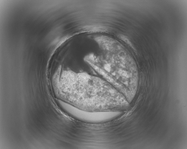 X0000066511071200604141742