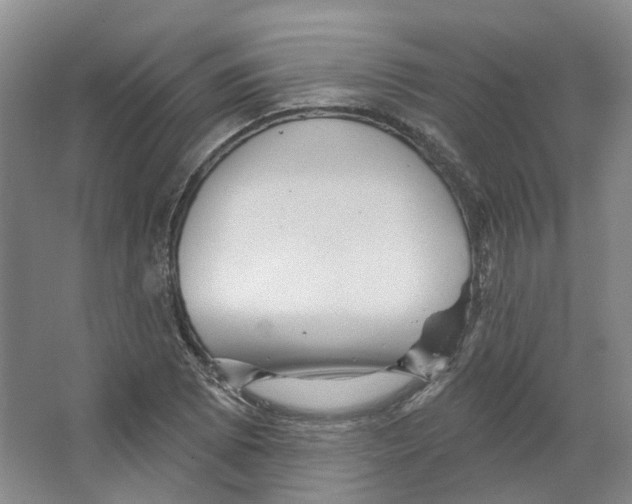 X0000066511073200604141742