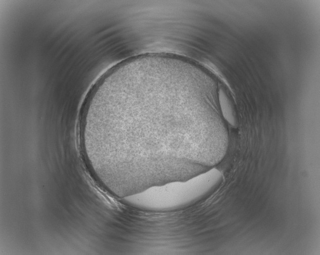 X0000066511076200604141742